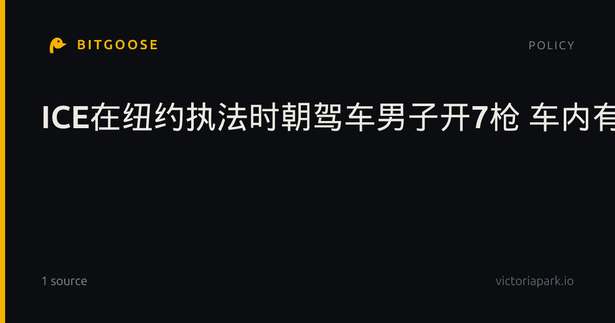 ICE在纽约执法时朝驾车男子开7枪 车内有5岁儿童
