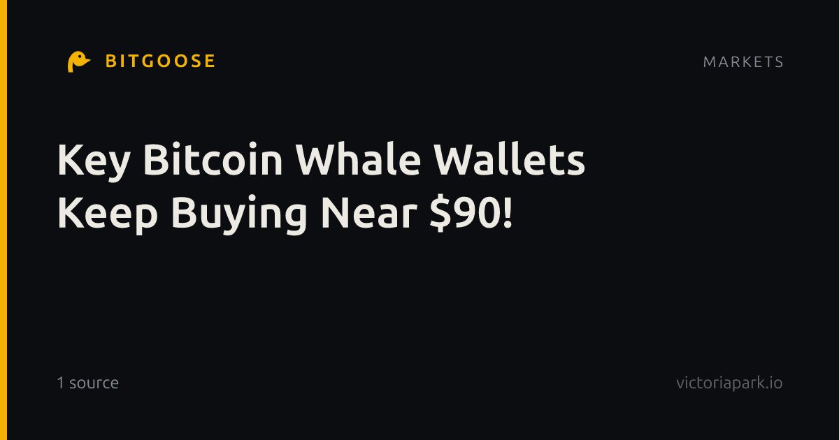 Key Bitcoin Whale Wallets Keep Buying Near $90!