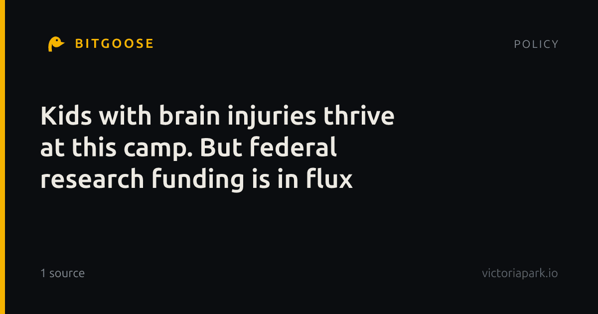 Kids with brain injuries thrive at this camp. But federal research funding is in flux