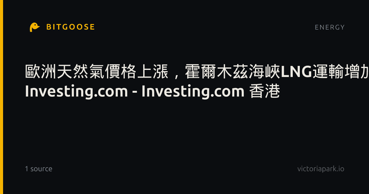 歐洲天然氣價格上漲,霍爾木茲海峽LNG運輸增加難抵油輪威脅 作者 Investing.com - Investing.com 香港