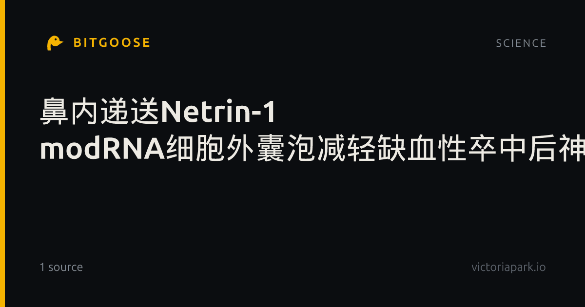 鼻内递送Netrin-1 modRNA细胞外囊泡减轻缺血性卒中后神经元凋亡