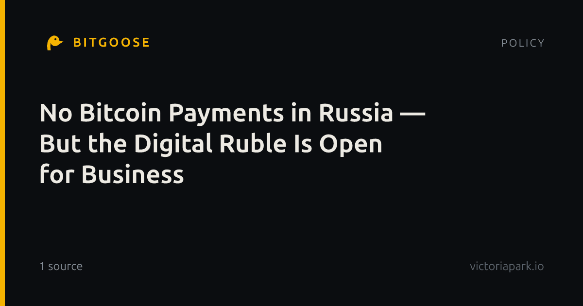 No Bitcoin Payments in Russia — But the Digital Ruble Is Open for Business
