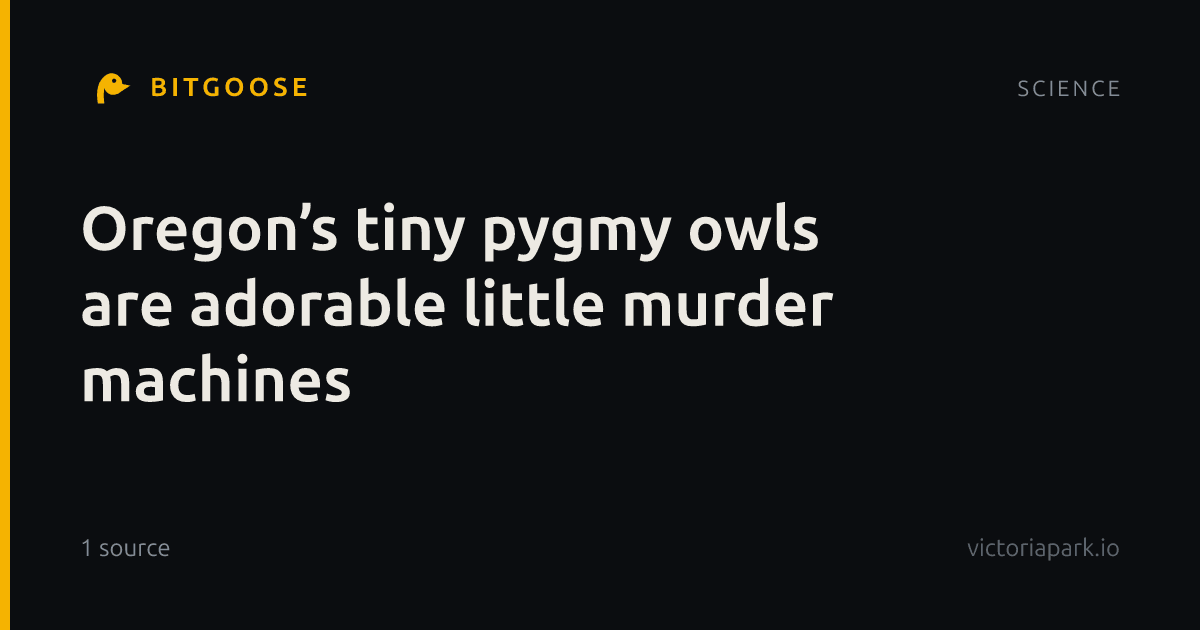 Oregon’s tiny pygmy owls are adorable little murder machines