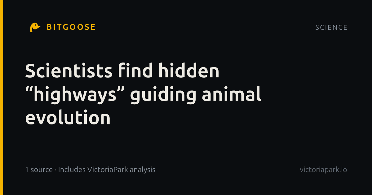 Scientists find hidden “highways” guiding animal evolution