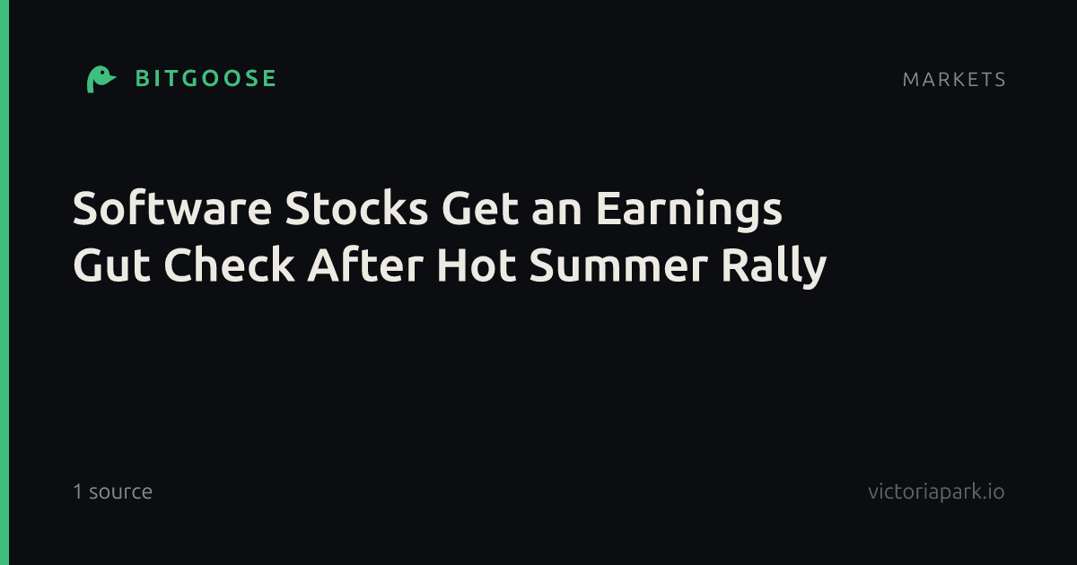 Software Stocks Get an Earnings Gut Check After Hot Summer Rally