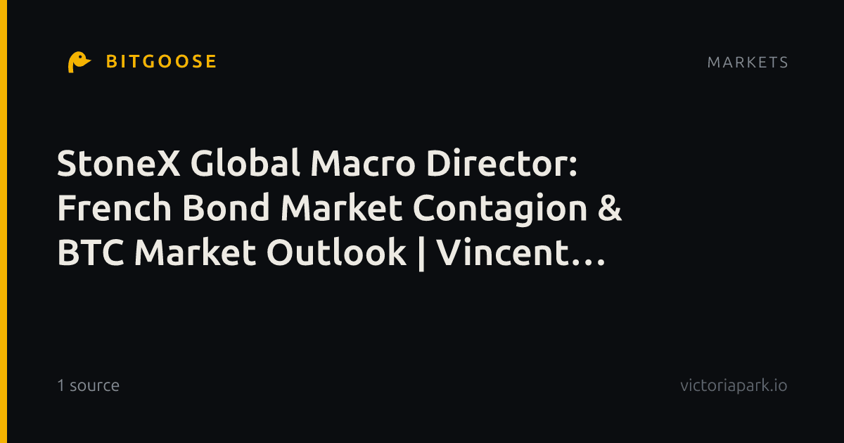 StoneX Global Macro Director: French Bond Market Contagion & BTC Market Outlook | Vincent Deluard