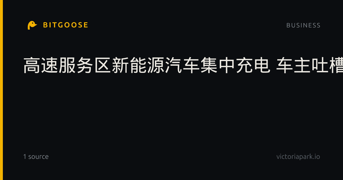 高速服务区新能源汽车集中充电 车主吐槽：像在排队打饭