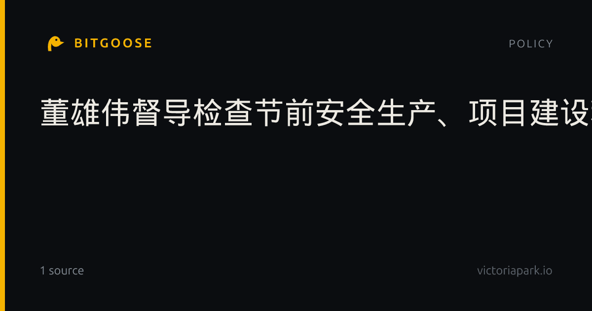 董雄伟督导检查节前安全生产、项目建设和民生供給等工作