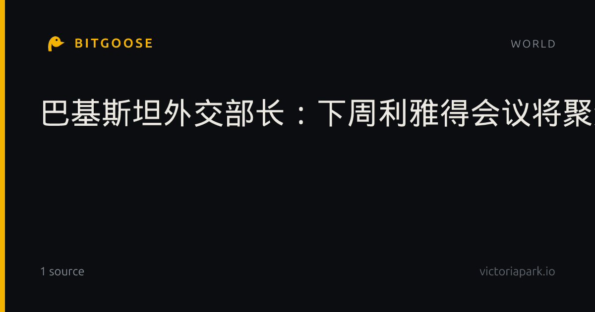 巴基斯坦外交部长：下周利雅得会议将聚焦胡塞对沙特阿拉伯的袭击行动。