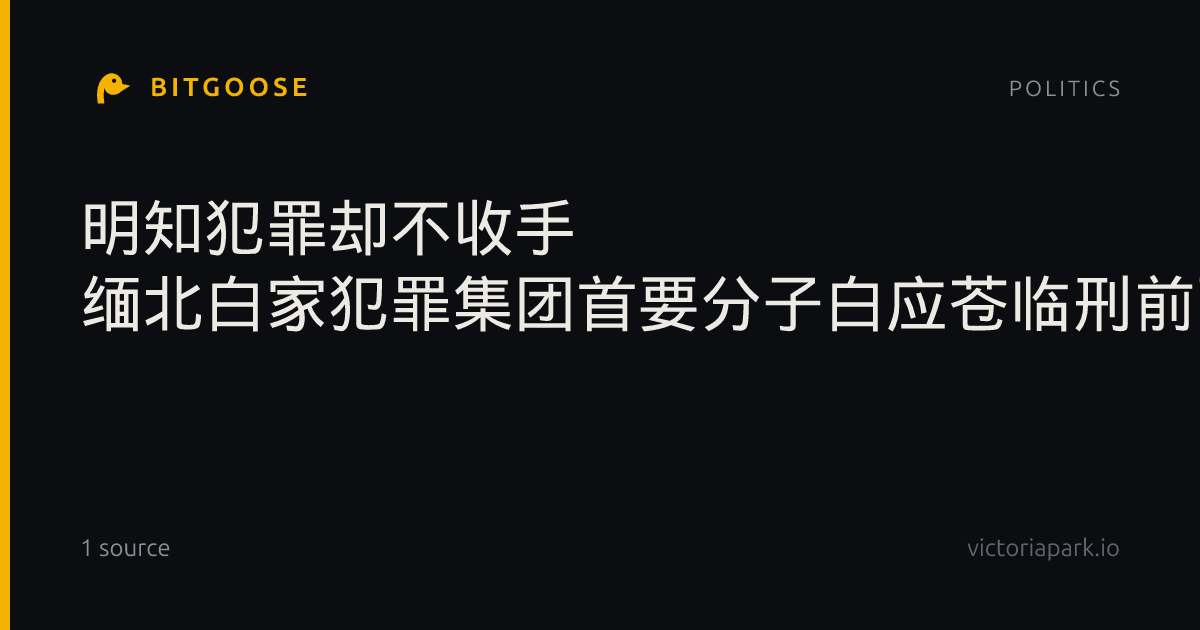 明知犯罪却不收手 缅北白家犯罪集团首要分子白应苍临刑前画面曝光