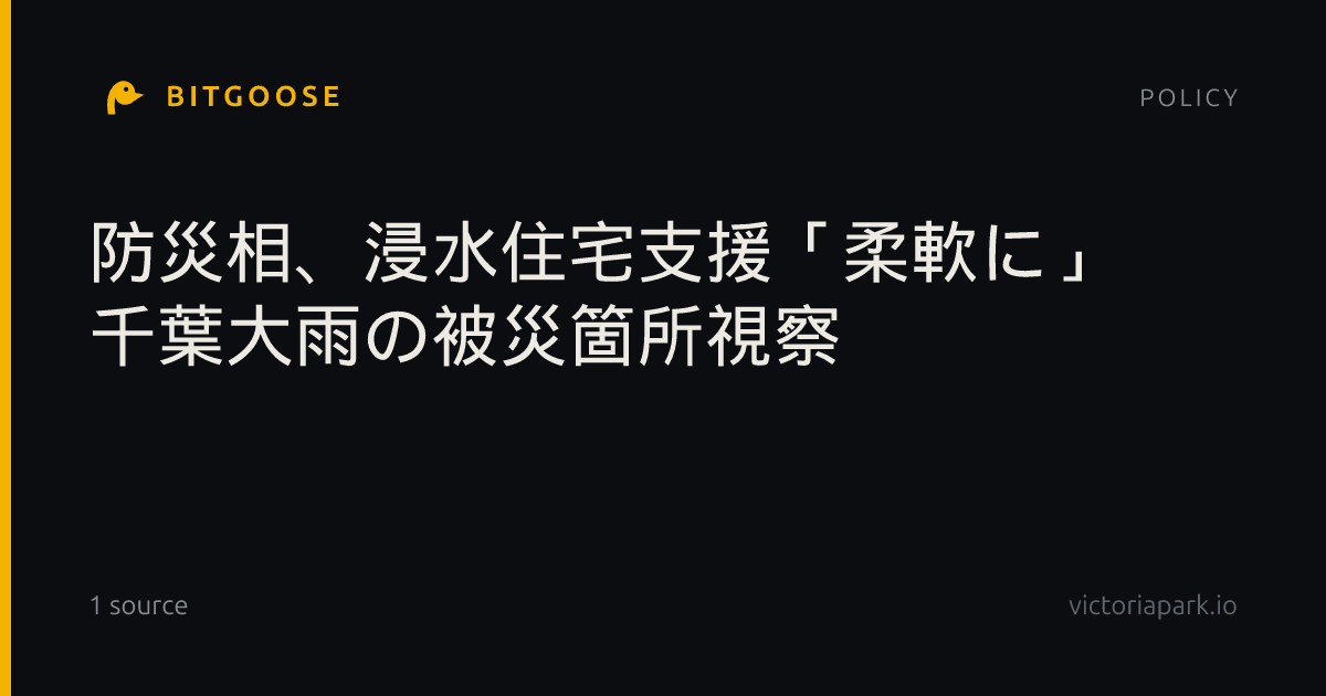 防災相、浸水住宅支援「柔軟に」 千葉大雨の被災箇所視察