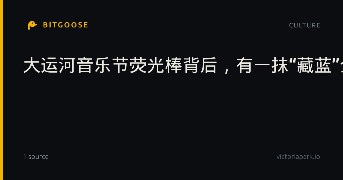 大运河音乐节荧光棒背后,有一抹“藏蓝”全程守候