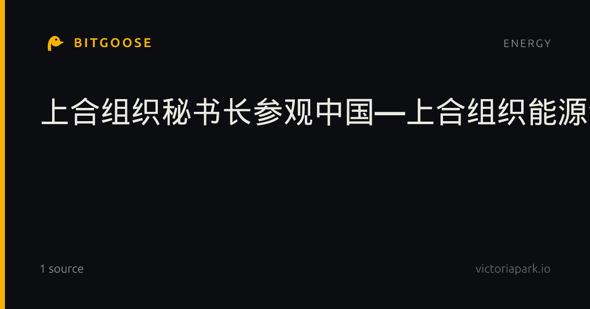 上合组织秘书长参观中国—上合组织能源合作中心