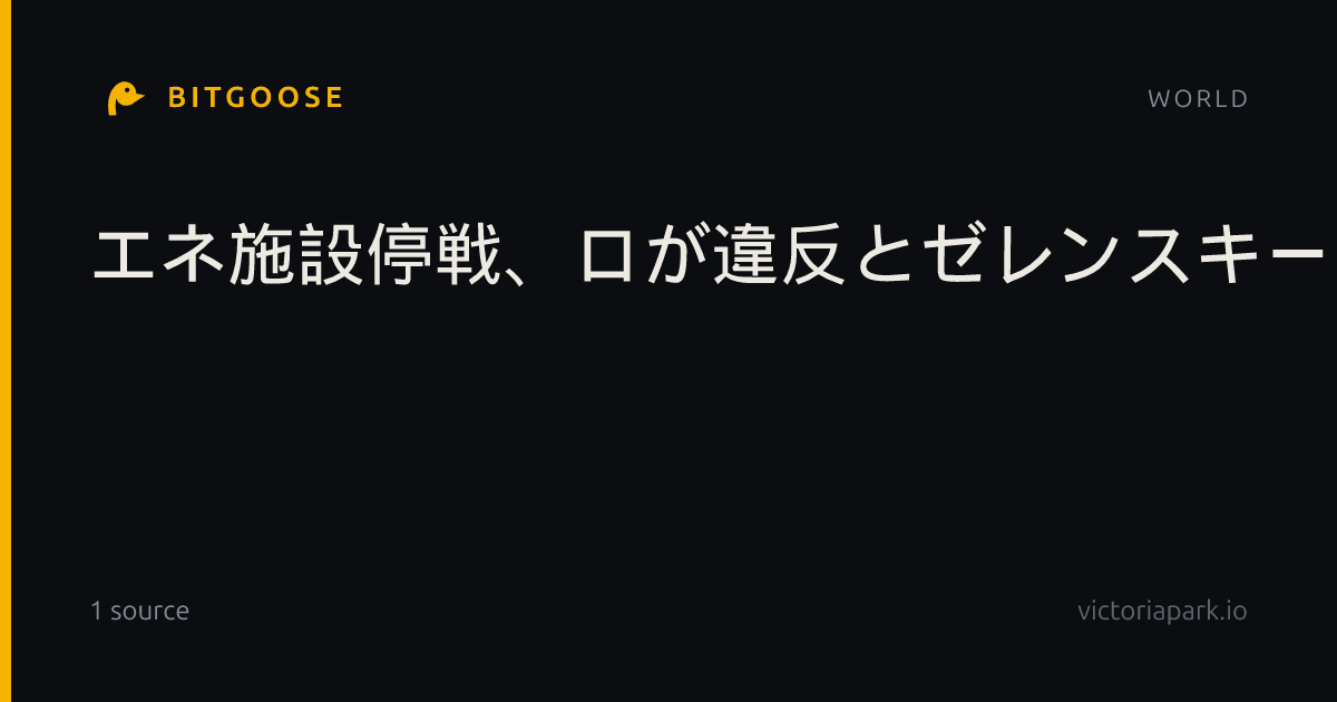 エネ施設停戦、ロが違反とゼレンスキー氏