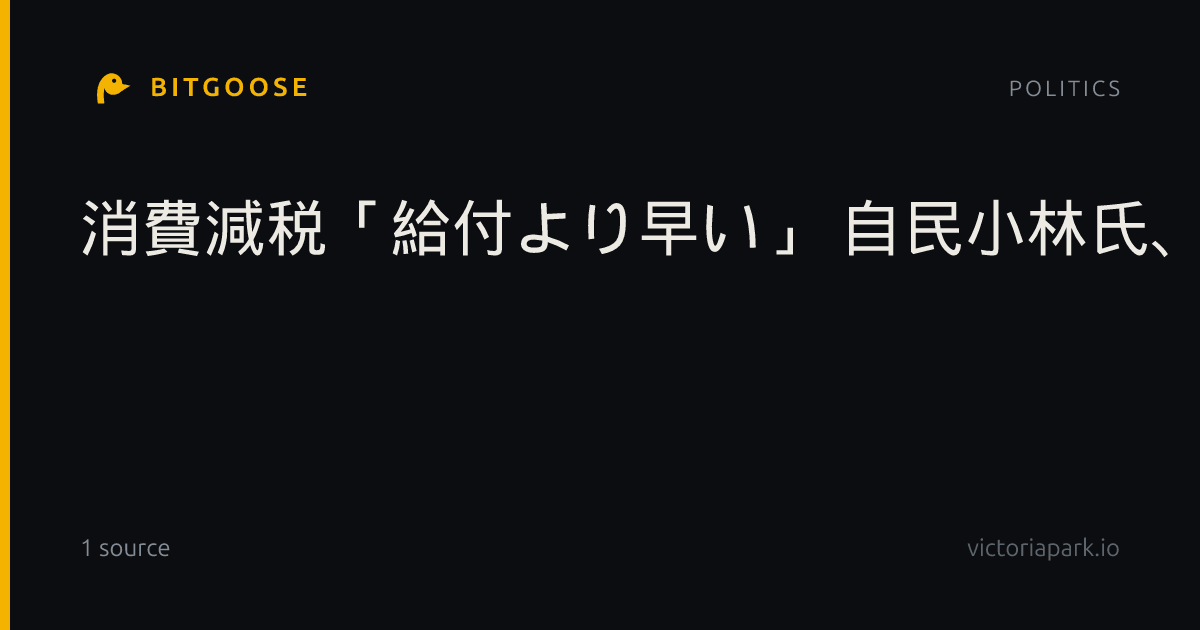 消費減税「給付より早い」 自民小林氏、物価高対策