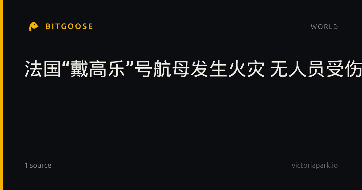 法国“戴高乐”号航母发生火灾 无人员受伤