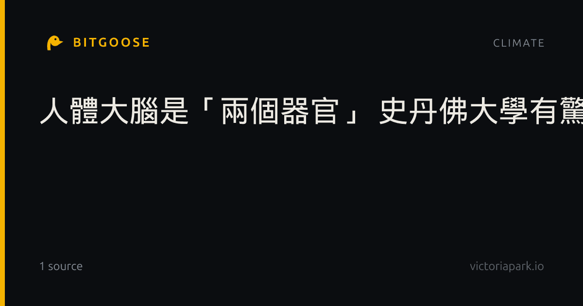 人體大腦是「兩個器官」 史丹佛大學有驚人發現
