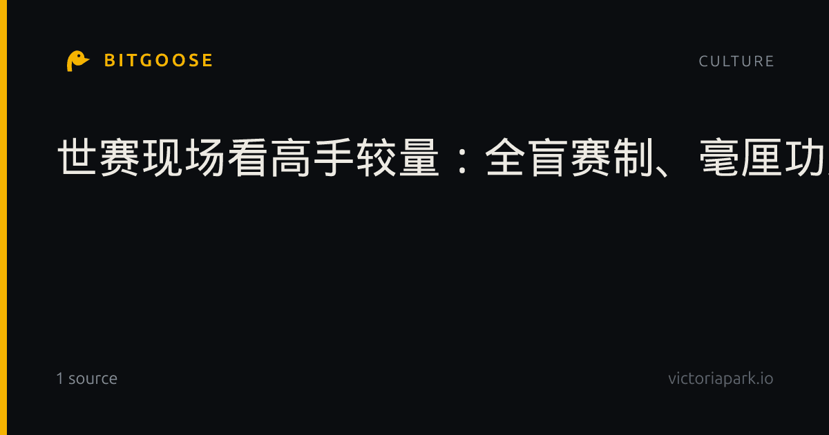 世赛现场看高手较量:全盲赛制、毫厘功夫、分秒必争