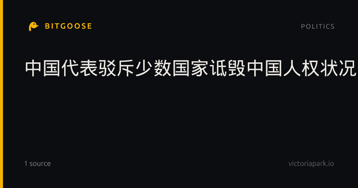 中国代表驳斥少数国家诋毁中国人权状况
