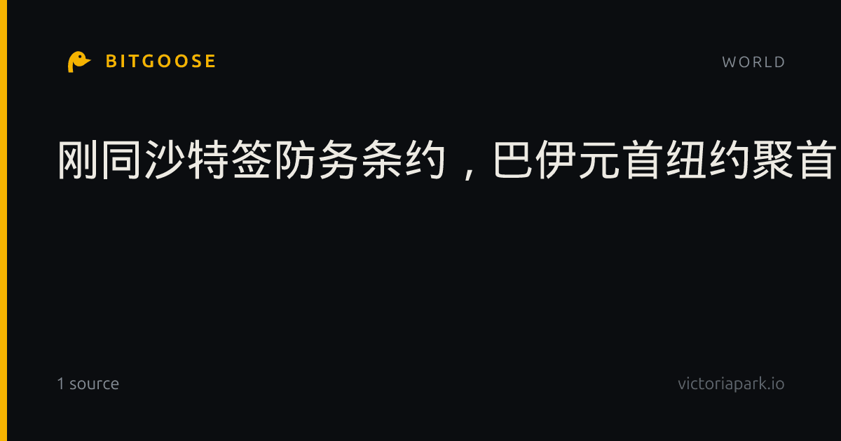 刚同沙特签防务条约，巴伊元首纽约聚首，夏巴兹：胡塞不能再打了