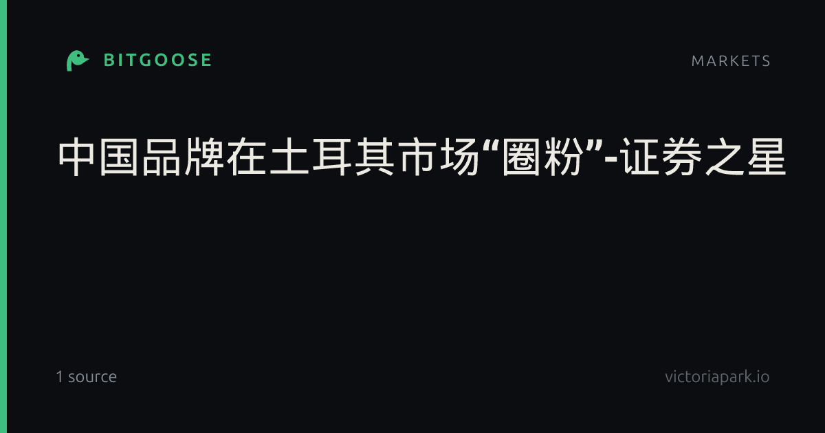 中国品牌在土耳其市场“圈粉”-证券之星
