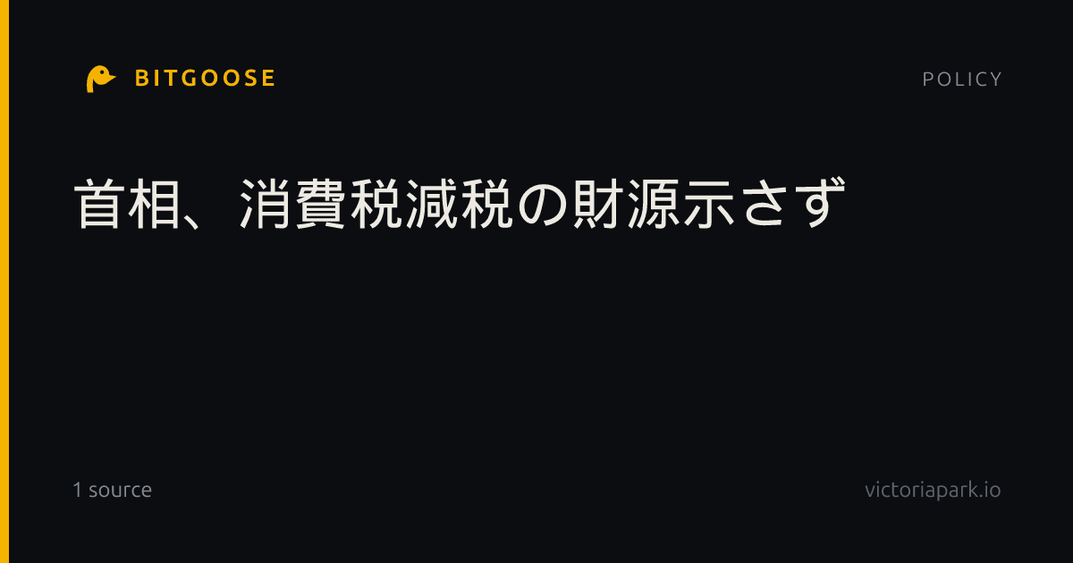 首相、消費税減税の財源示さず