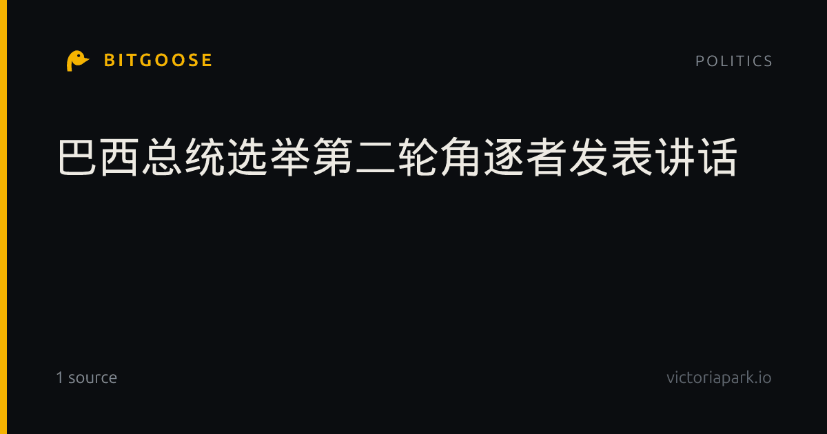 巴西总统选举第二轮角逐者发表讲话