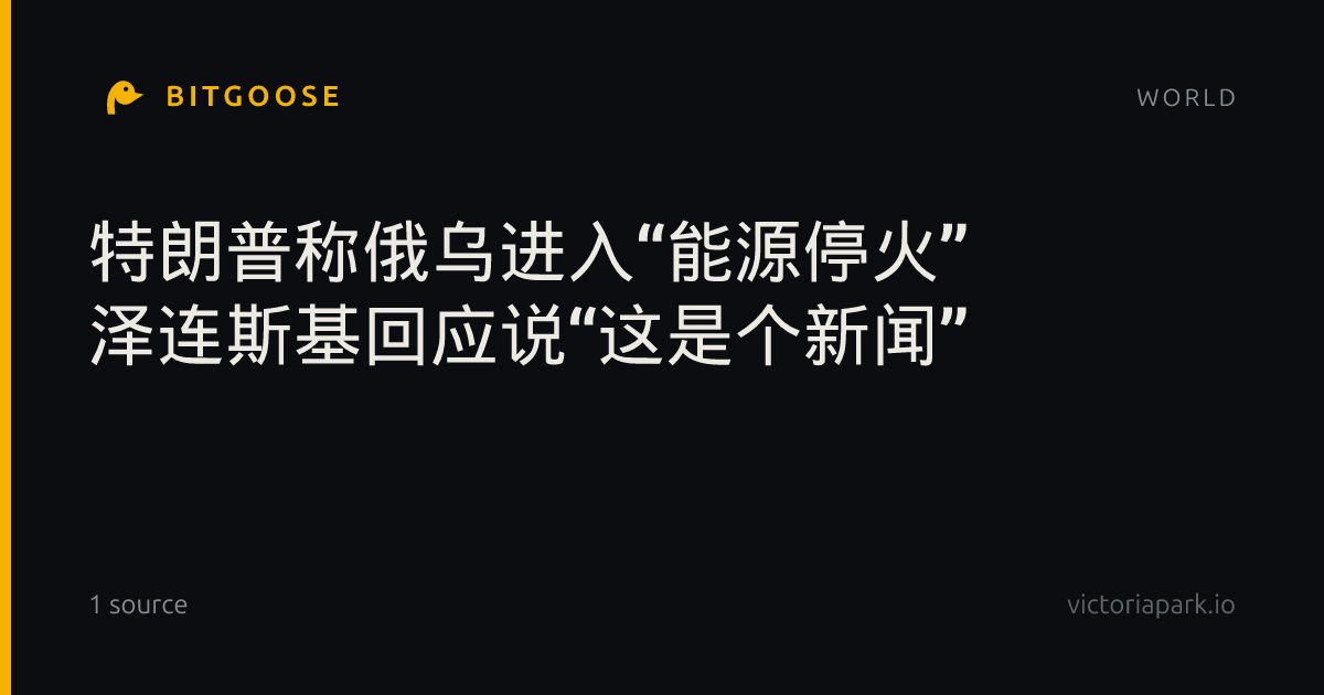 特朗普称俄乌进入“能源停火” 泽连斯基回应说“这是个新闻”