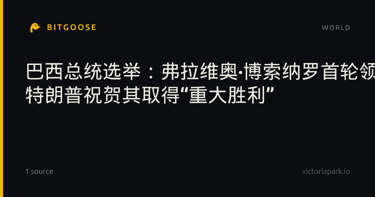 巴西总统选举：弗拉维奥·博索纳罗首轮领先卢拉 特朗普祝贺其取得“重大胜利”