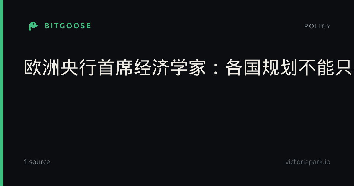 欧洲央行首席经济学家：各国规划不能只着眼短期