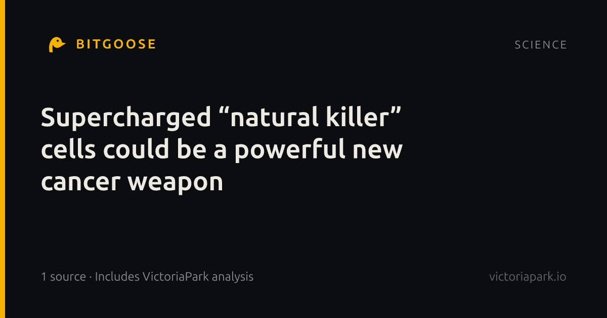 Supercharged “natural killer” cells could be a powerful new cancer weapon