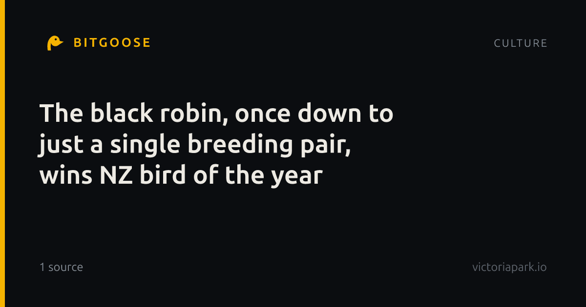 The black robin, once down to just a single breeding pair, wins NZ bird of the year