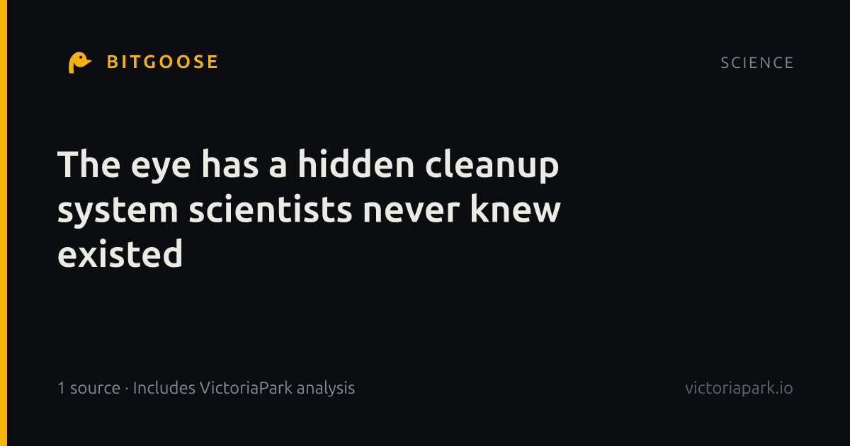 The eye has a hidden cleanup system scientists never knew existed