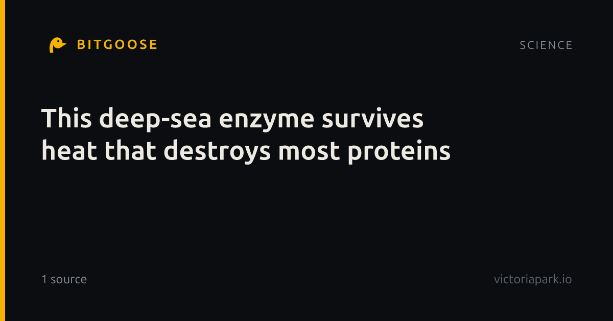 This deep-sea enzyme survives heat that destroys most proteins