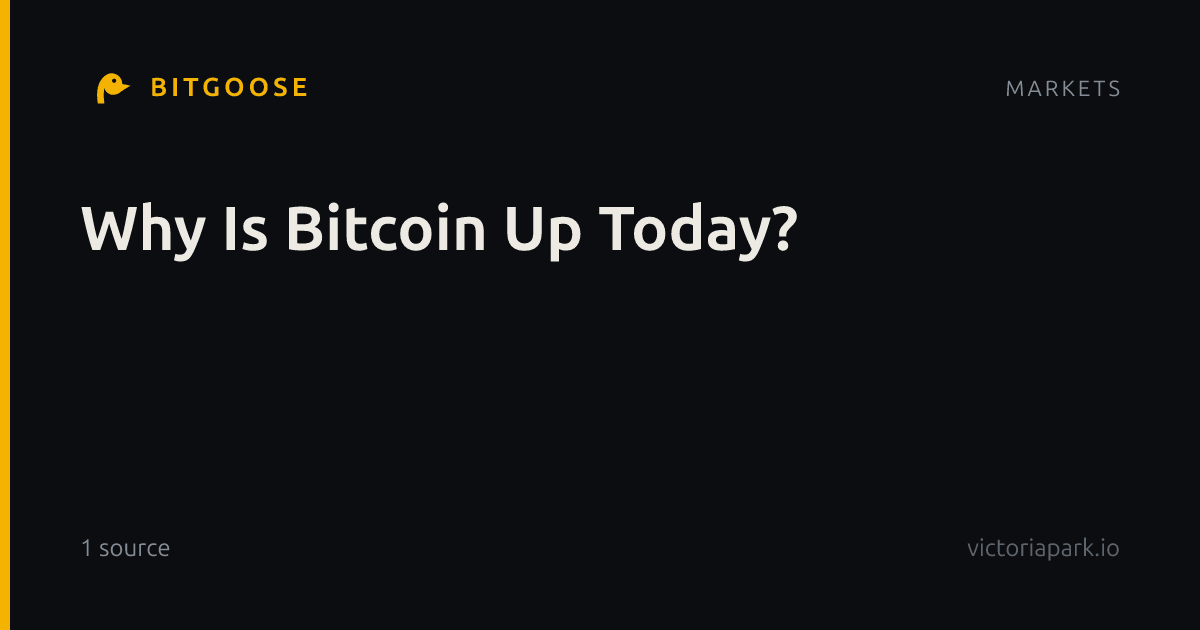Why Is Bitcoin Up Today?