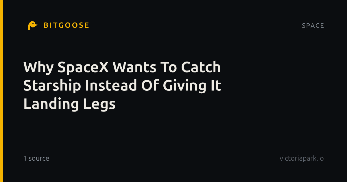 Why SpaceX Wants To Catch Starship Instead Of Giving It Landing Legs