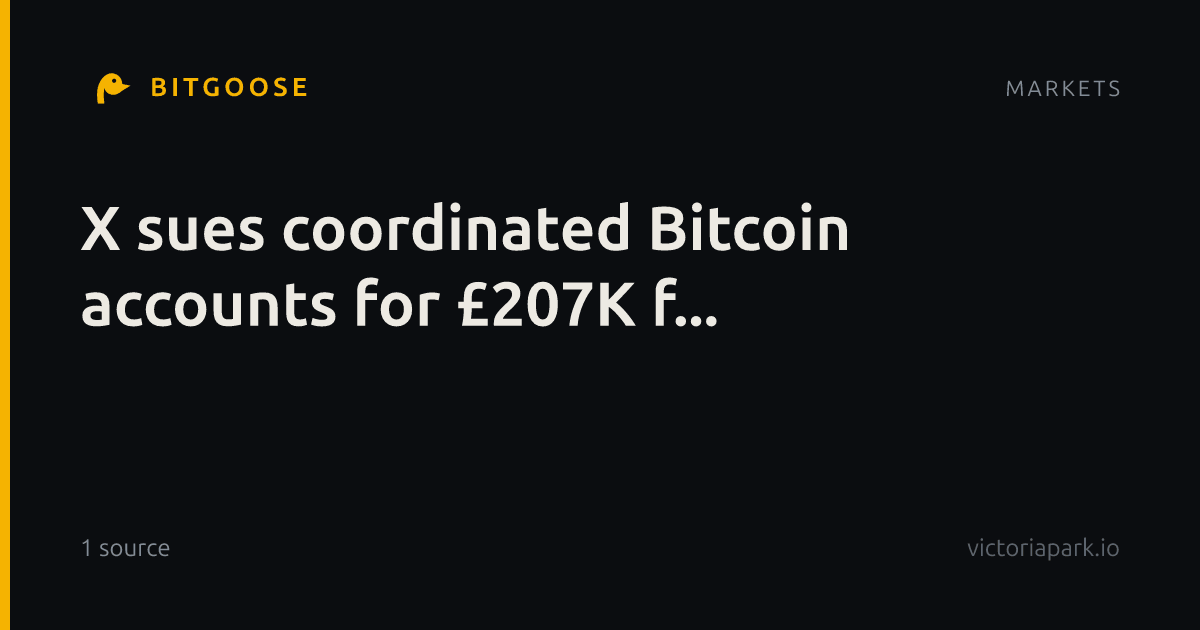X sues coordinated Bitcoin accounts for £207K f...