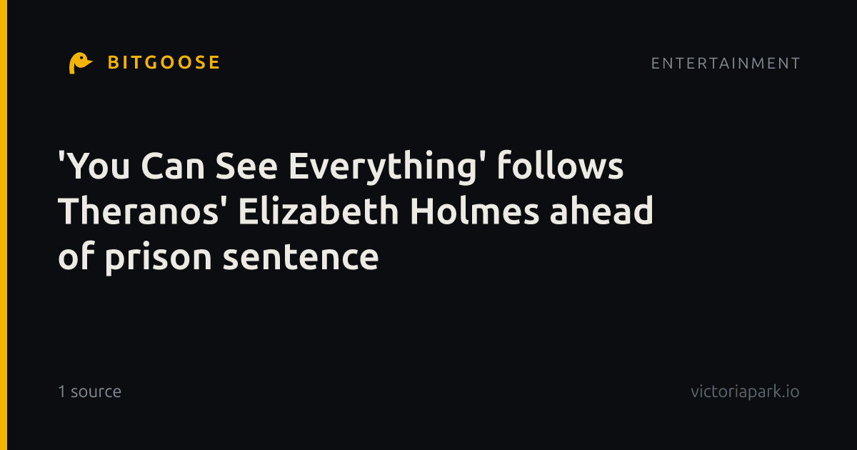 'You Can See Everything' follows Theranos' Elizabeth Holmes ahead of prison sentence